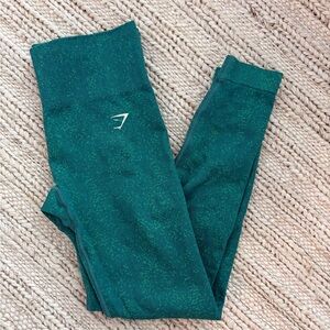 Gymshark Adapt Flex Seamless Leggings